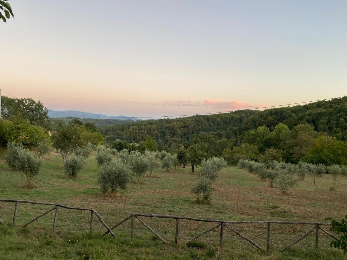 Agriturismo Borgo Serafino Mangone  Exterior photo